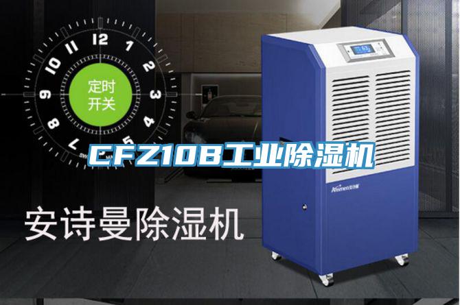 CFZ10B工业抖音成人版下载