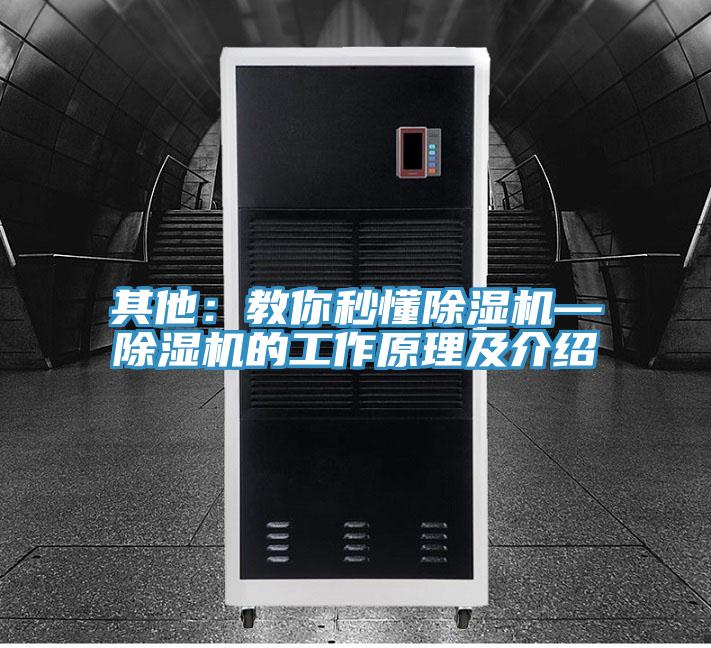 其他：教你秒懂抖音成人版下载—抖音成人版下载的工作原理及介绍