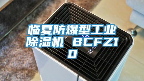 临夏防爆型工业抖音成人版下载 BCFZ10