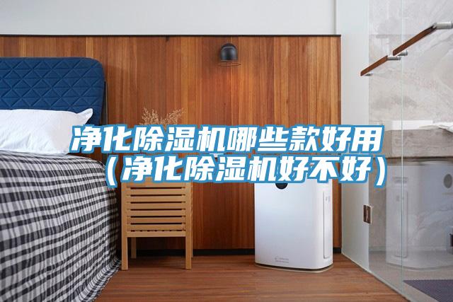 净化抖音成人版下载哪些款好用（净化抖音成人版下载好不好）