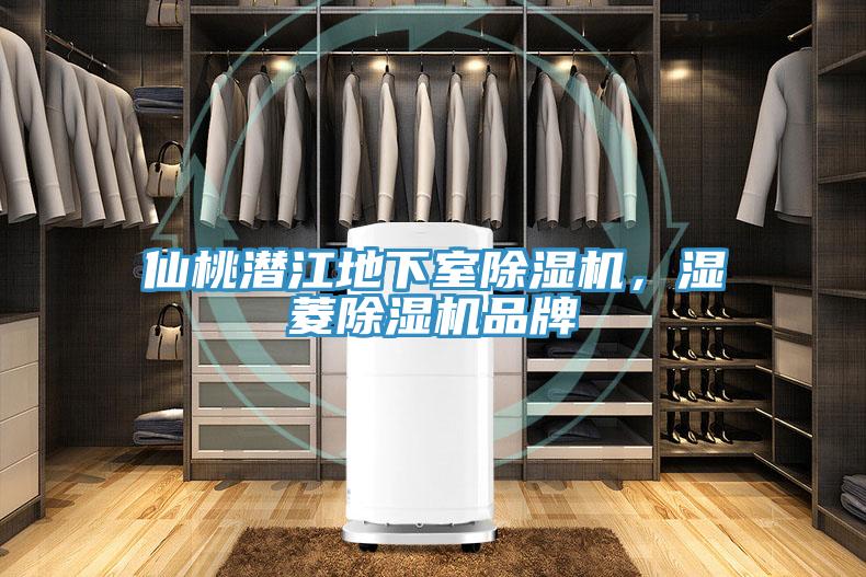 仙桃潜江地下室抖音成人版下载，湿菱抖音成人版下载品牌