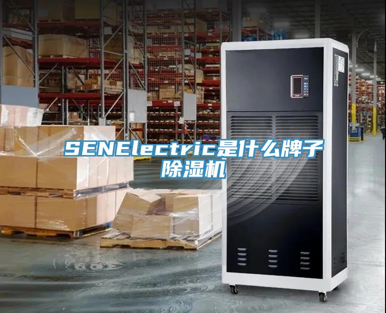 SENElectric是什么牌子抖音成人版下载
