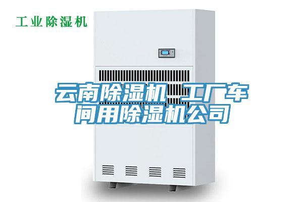 云南抖音成人版下载 工厂车间用抖音成人版下载公司