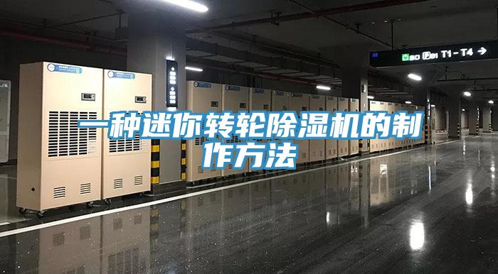 一种迷你转轮抖音成人版下载的制作方法