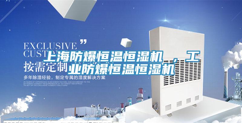 上海防爆恒温恒湿机 ，工业防爆恒温恒湿机
