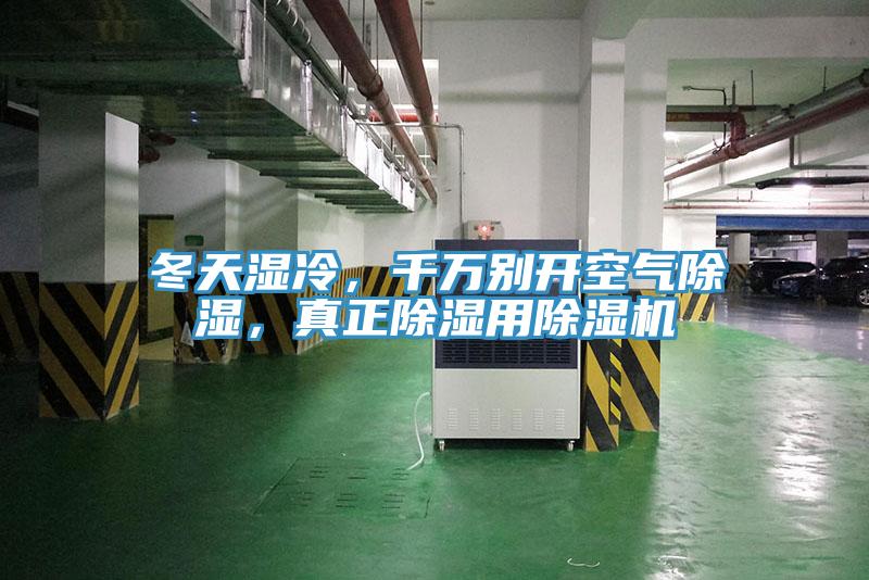 冬天湿冷，千万别开空气除湿，真正除湿用抖音成人版下载