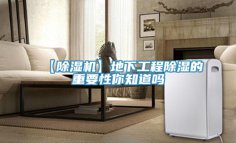 【抖音成人版下载】地下工程除湿的重要性你知道吗