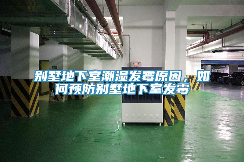 别墅地下室潮湿发霉原因，如何预防别墅地下室发霉