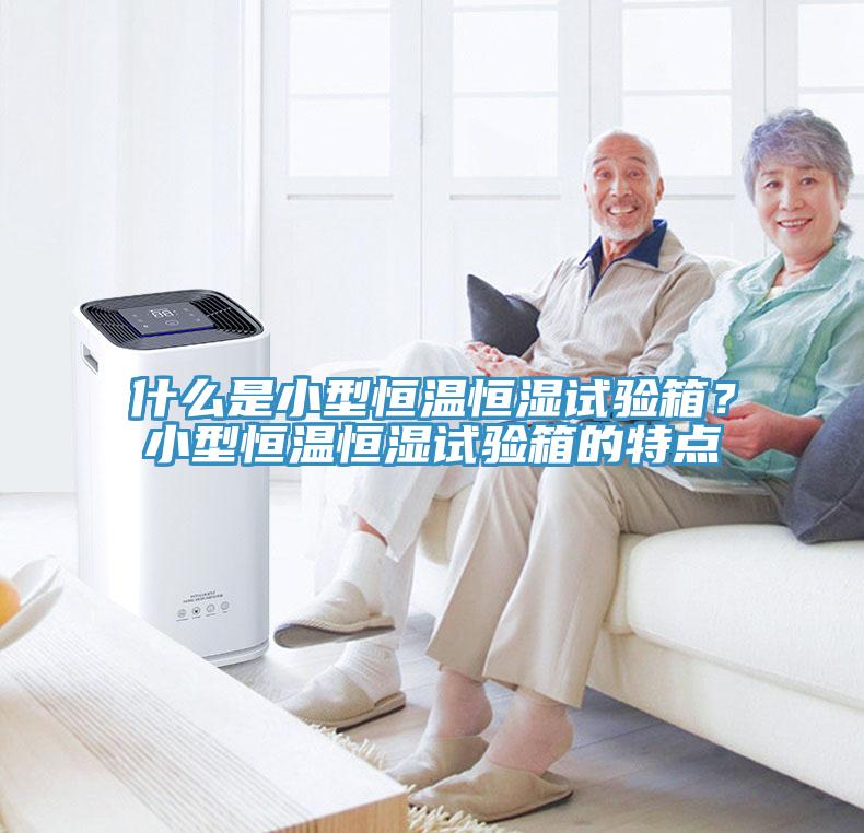 什么是小型恒温恒湿试验箱？小型恒温恒湿试验箱的特点
