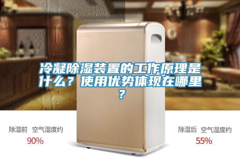 冷凝除湿装置的工作原理是什么？使用优势体现在哪里？