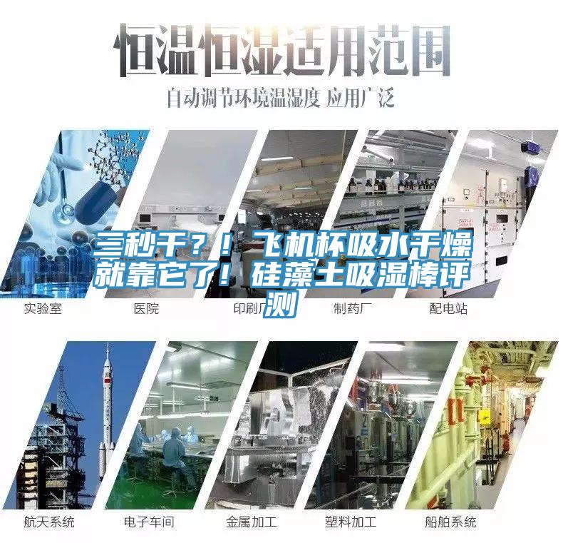 三秒干？! 飞机杯吸水干燥就靠它了! 硅藻土吸湿棒评测