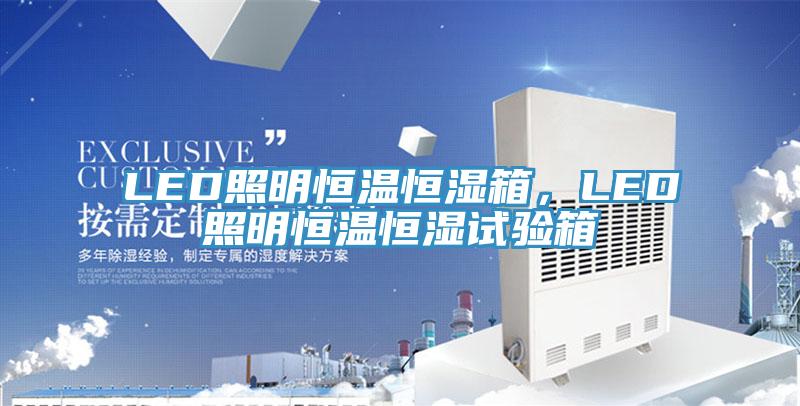 LED照明恒温恒湿箱，LED照明恒温恒湿试验箱