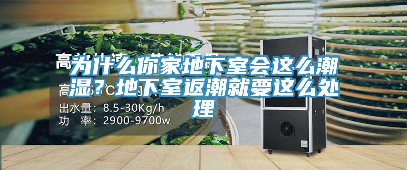 为什么你家地下室会这么潮湿？地下室返潮就要这么处理