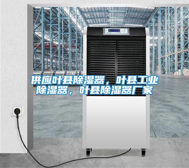 供应叶县除湿器，叶县工业除湿器，叶县除湿器厂家