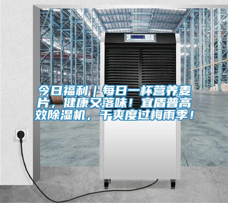 今日福利｜每日一杯营养麦片，健康又落味！宜盾普高效抖音成人版下载，干爽度过梅雨季！