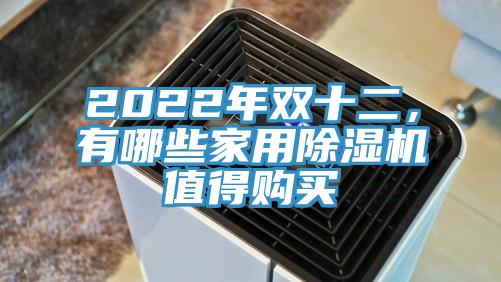 2022年双十二，有哪些家用抖音成人版下载值得购买