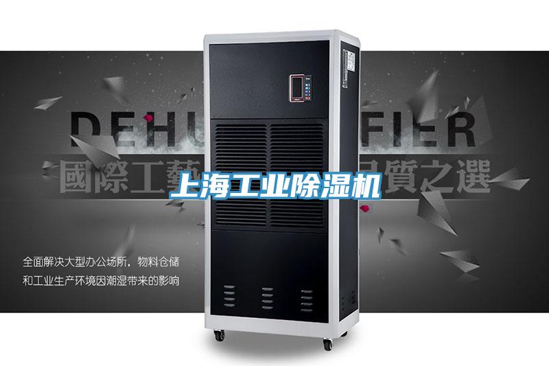 上海工业抖音成人版下载