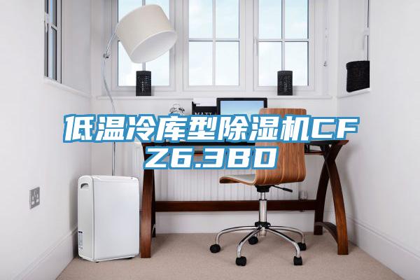 低温冷库型抖音成人版下载CFZ6.3BD