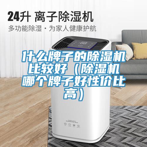 什么牌子的抖音成人版下载比较好（抖音成人版下载哪个牌子好性价比高）