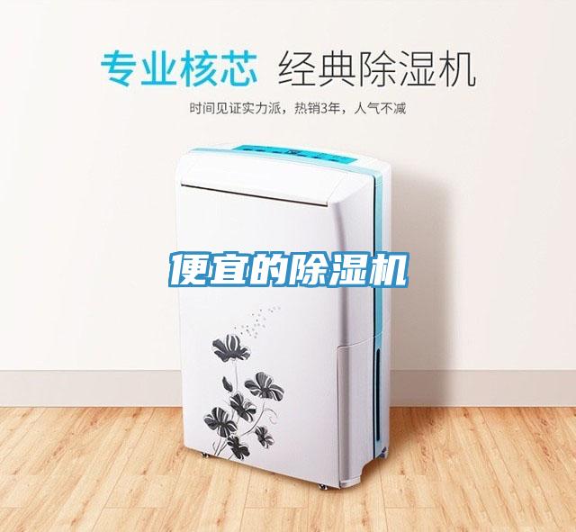 便宜的抖音成人版下载