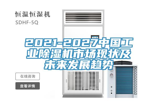 2021-2027中国工业抖音成人版下载市场现状及未来发展趋势
