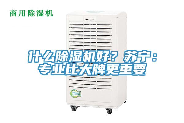 什么抖音成人版下载好？苏宁：专业比大牌更重要