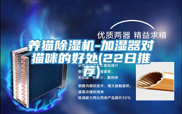 养猫抖音成人版下载-加湿器对猫咪的好处(22日推荐)