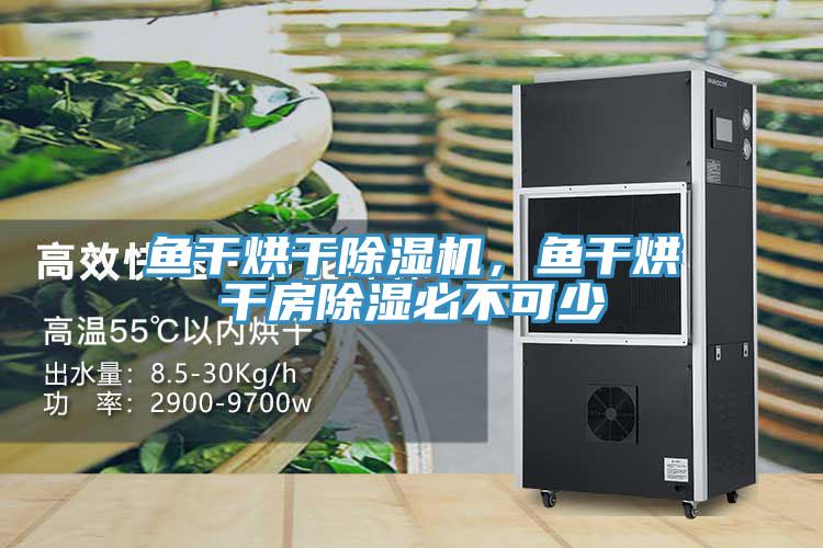 鱼干烘干抖音成人版下载，鱼干烘干房除湿必不可少