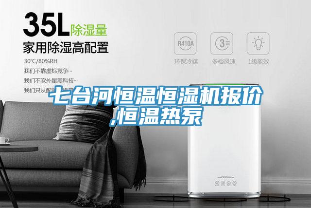 七台河恒温恒湿机报价,恒温热泵