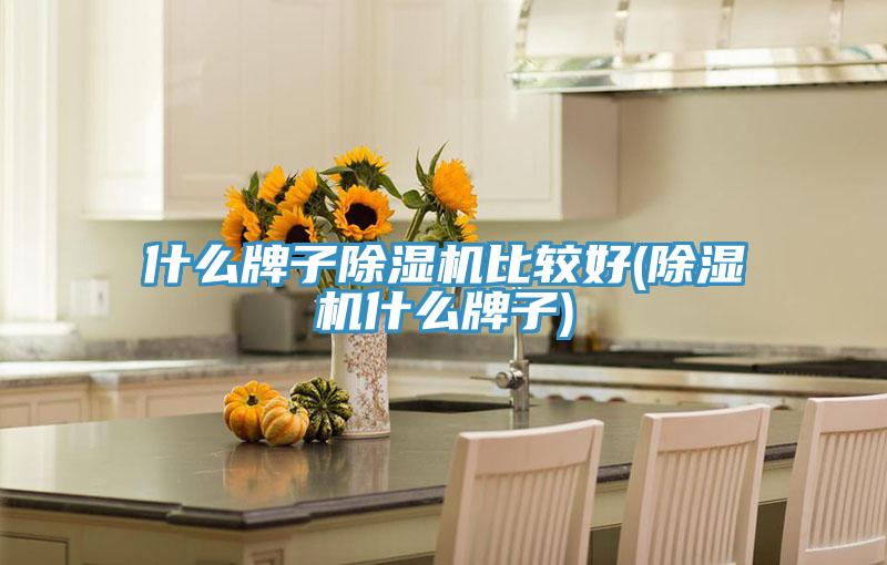 什么牌子抖音成人版下载比较好(抖音成人版下载什么牌子)