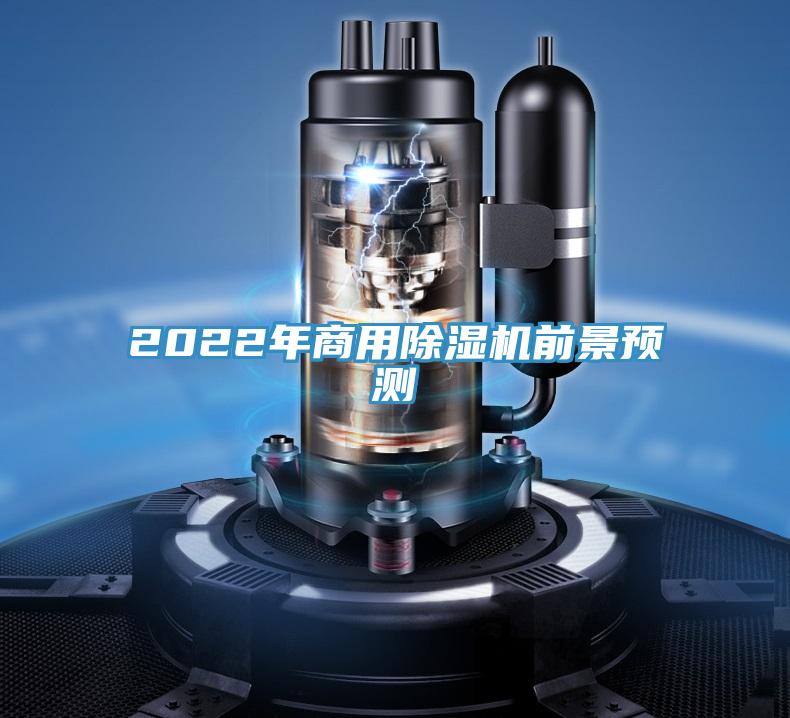 2022年商用抖音成人版下载前景预测