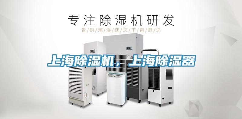 上海抖音成人版下载，上海除湿器