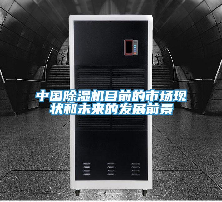 中国抖音成人版下载目前的市场现状和未来的发展前景