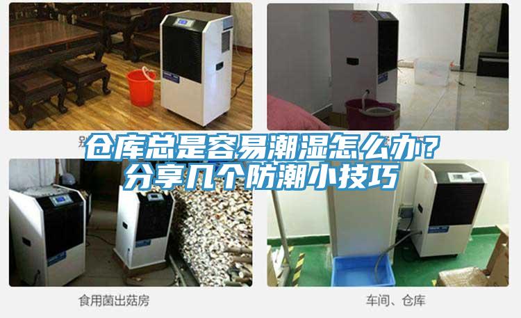 仓库总是容易潮湿怎么办？分享几个防潮小技巧