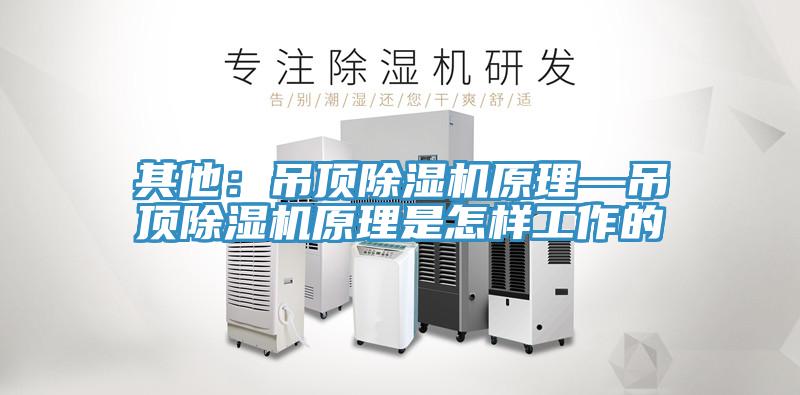 其他：吊顶抖音成人版下载原理—吊顶抖音成人版下载原理是怎样工作的