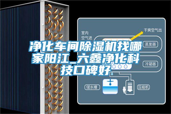 净化车间抖音成人版下载找哪家阳江_六鑫净化科技口碑好