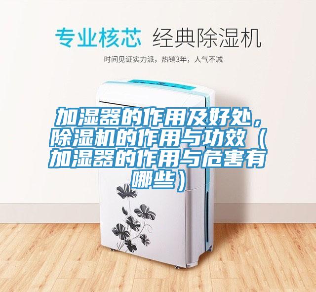 加湿器的作用及好处，抖音成人版下载的作用与功效（加湿器的作用与危害有哪些）