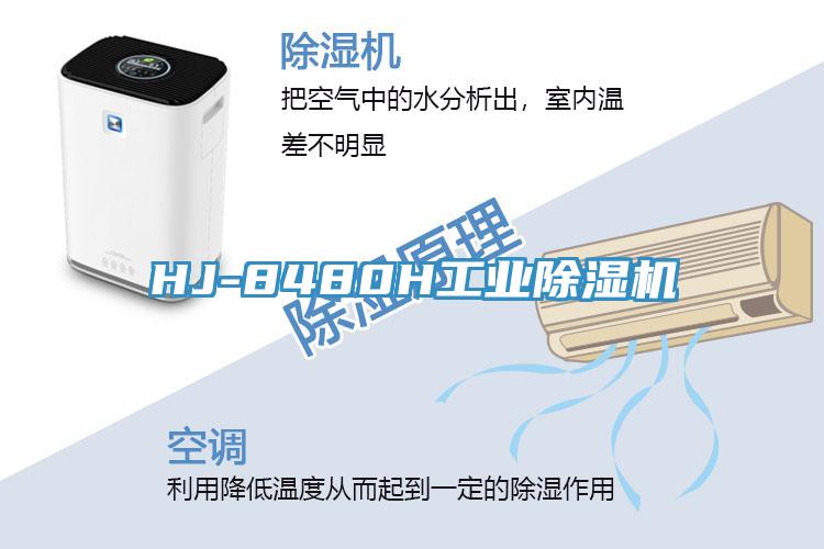 HJ-8480H工业抖音成人版下载