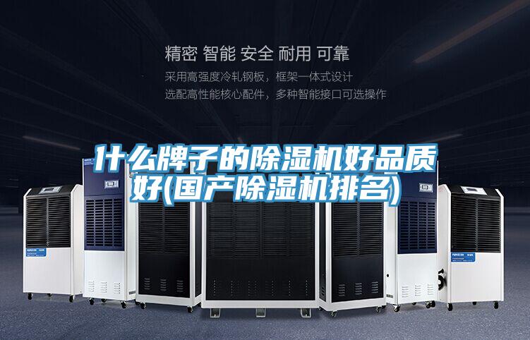 什么牌子的抖音成人版下载好品质好(国产抖音成人版下载排名)