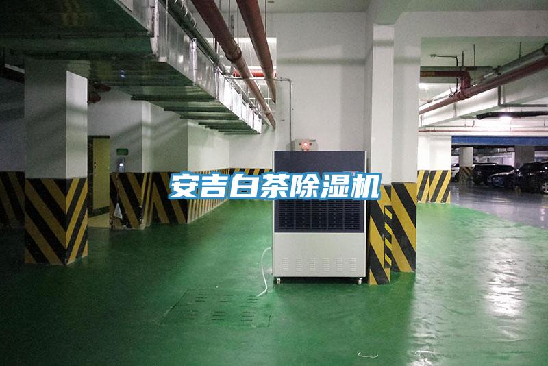 安吉白茶抖音成人版下载