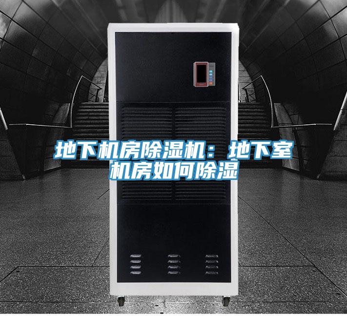 地下机房抖音成人版下载：地下室机房如何除湿