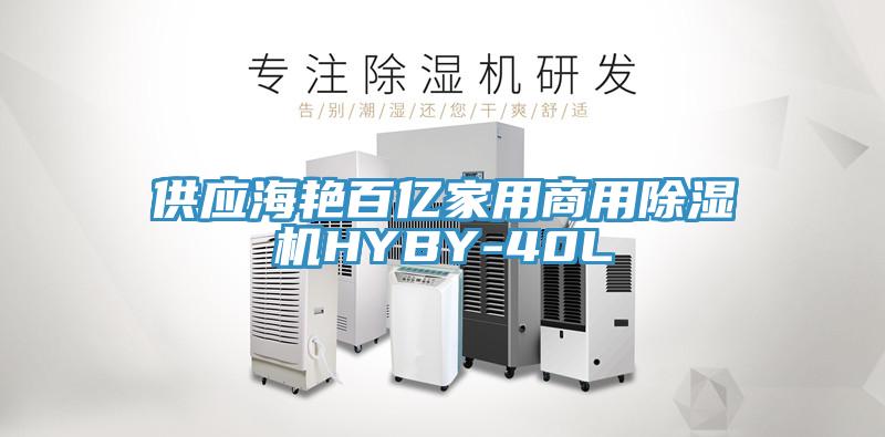 供应海艳百亿家用商用抖音成人版下载HYBY-40L