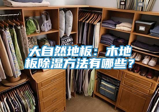 大自然地板：木地板除湿方法有哪些？