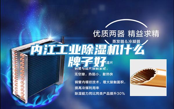 内江工业抖音成人版下载什么牌子好