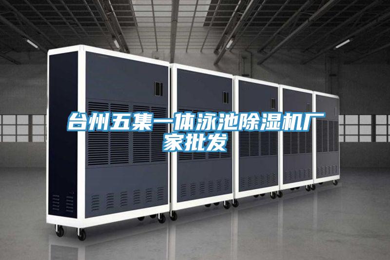 台州五集一体泳池抖音成人版下载厂家批发