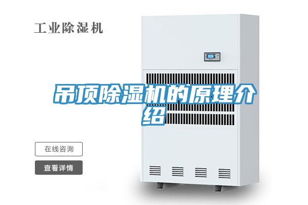 吊顶抖音成人版下载的原理介绍