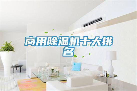 商用抖音成人版下载十大排名