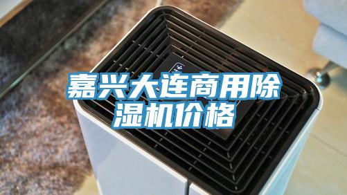 嘉兴大连商用抖音成人版下载价格