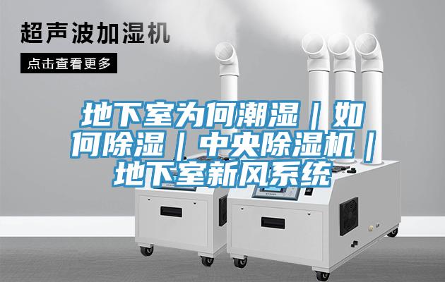 地下室为何潮湿｜如何除湿｜中央抖音成人版下载｜地下室新风系统