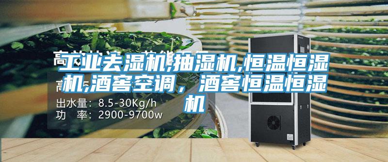 工业去湿机,抽湿机,恒温恒湿机,酒窖空调，酒窖恒温恒湿机